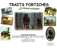 Traits Fortiches